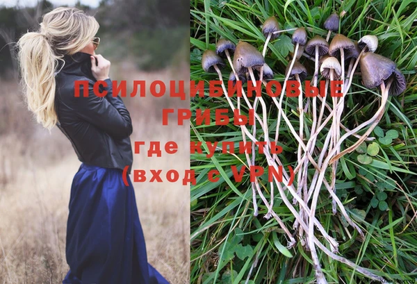 гидропоника Горно-Алтайск
