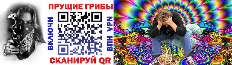 Купить закладки  Котовск  Галлюциногенные грибы Psilocybe 